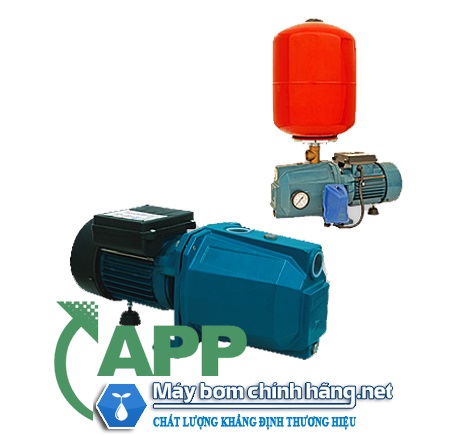 Máy bơm nước đầu lợn APP PW 381E(750w)